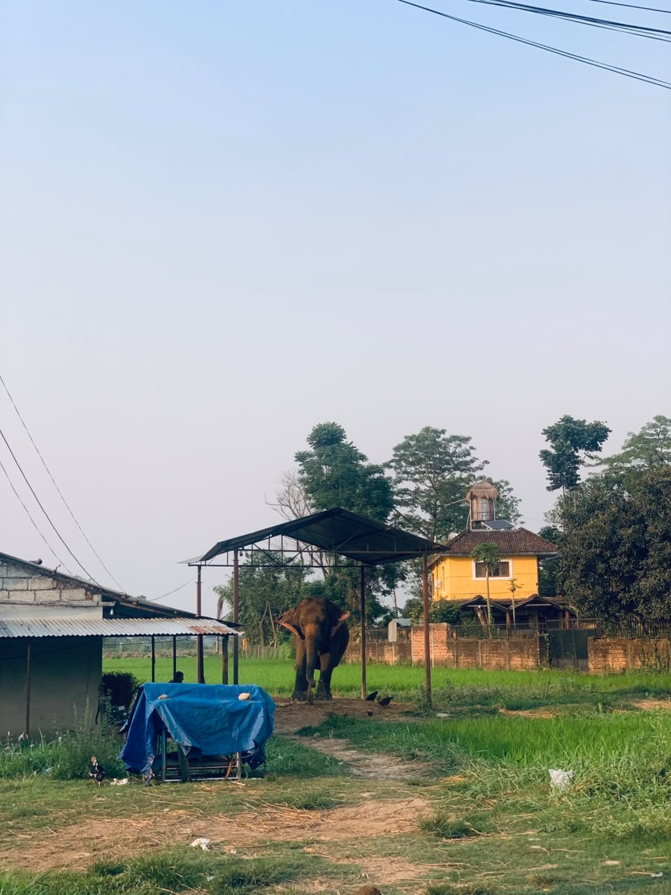 Chitwan: Where Wildlife, Culture, and Nature Come Alive